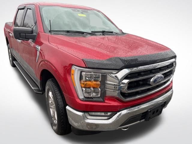 Used 2021 Ford F150 XLT w/ Equipment Group 302A High image 1