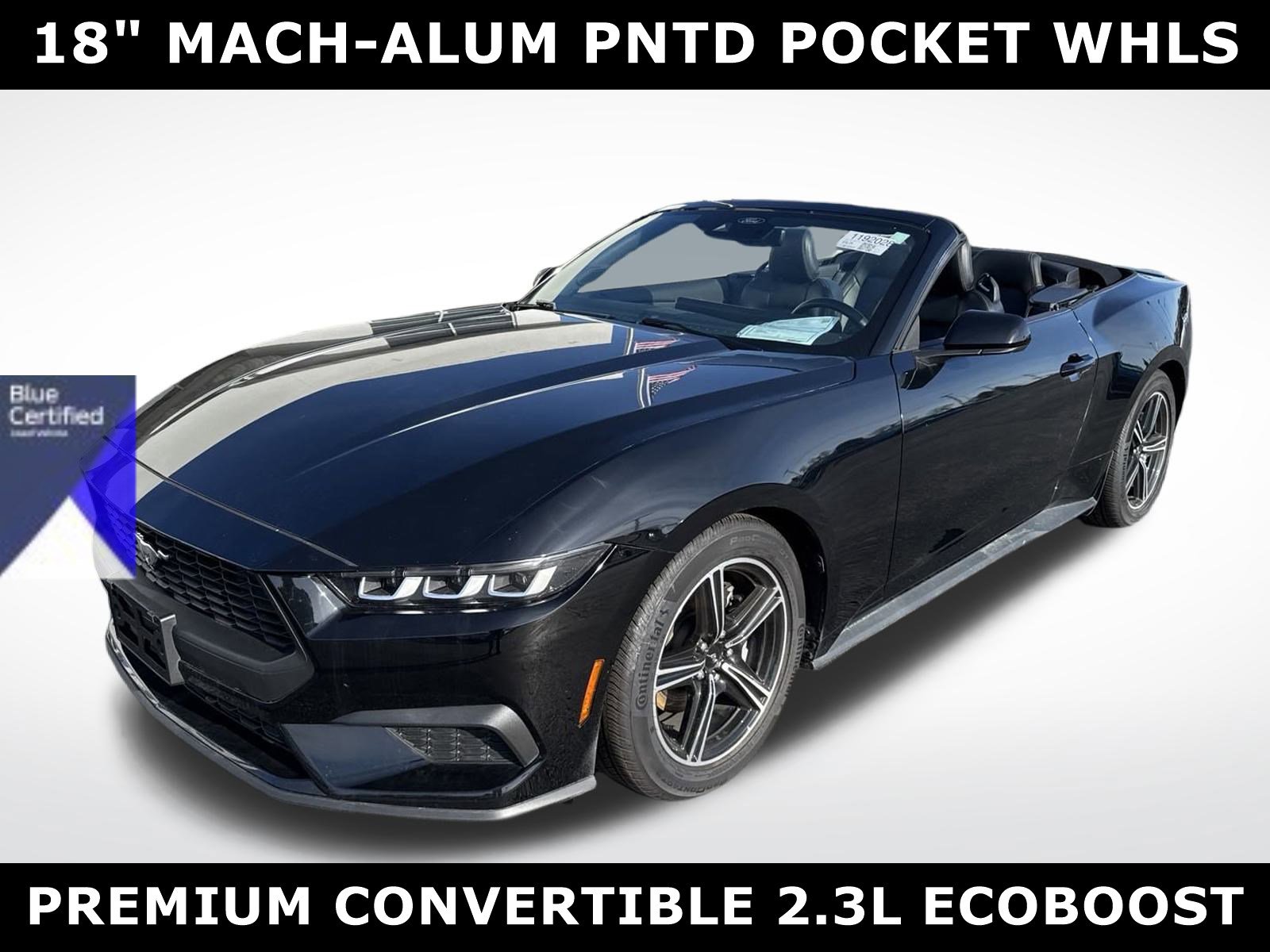 Certified 2024 Ford Mustang Premium