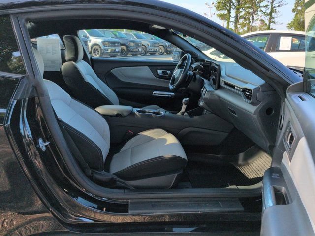 Used 2025 Ford Mustang GT RWD image 12