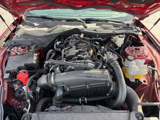 New 2024 Ford Mustang Premium image 77