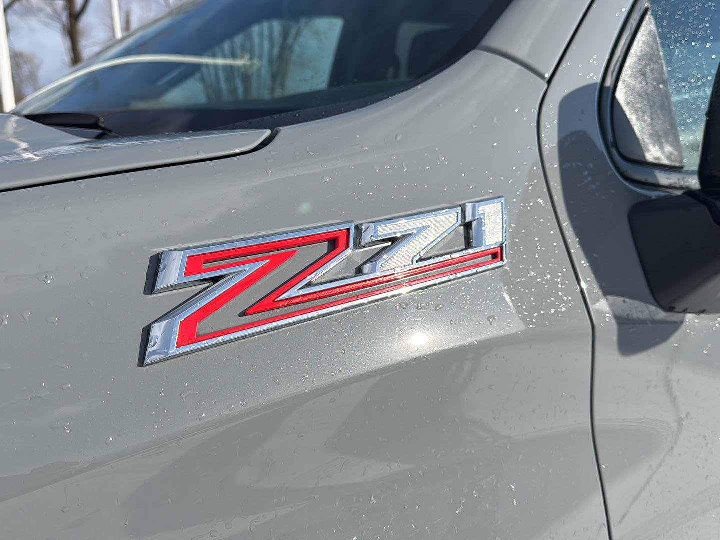 Used 2024 Chevrolet Silverado 1500 Custom Trail Boss image 9