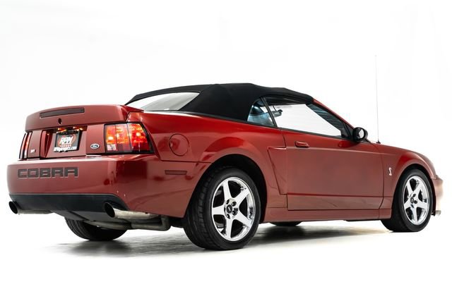 Used 2004 Ford Mustang Cobra RWD image 4