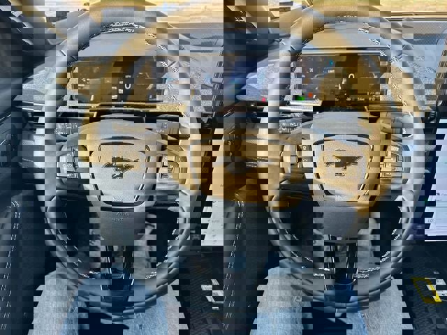 New 2025 Ford Mustang Mach-E GT image 14