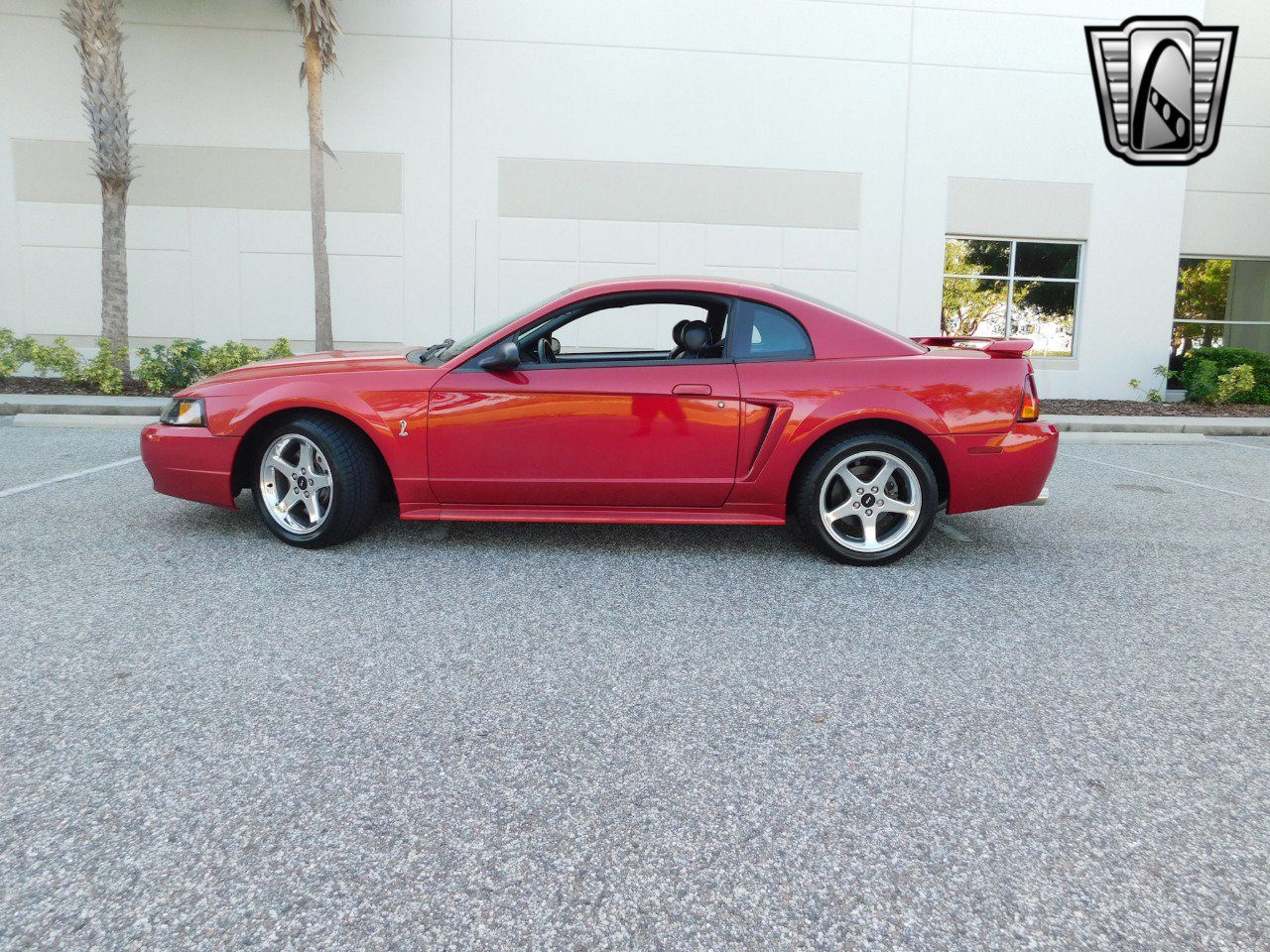 Used 2001 Ford Mustang Cobra image 5