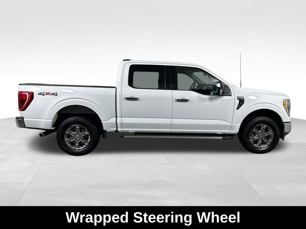 Used 2023 Ford F150 XLT w/ Equipment Group 302A High AWD/4WD image 13