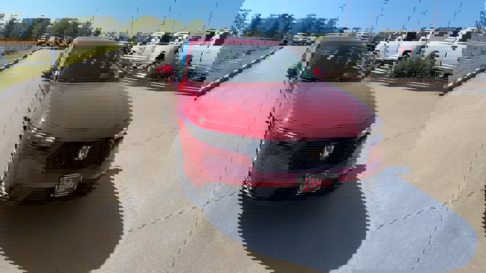 Used 2025 Honda Accord LX image 4