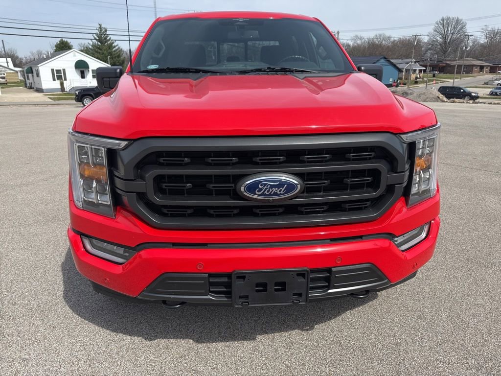 Used 2023 Ford F150 XLT w/ Equipment Group 302A High image 6