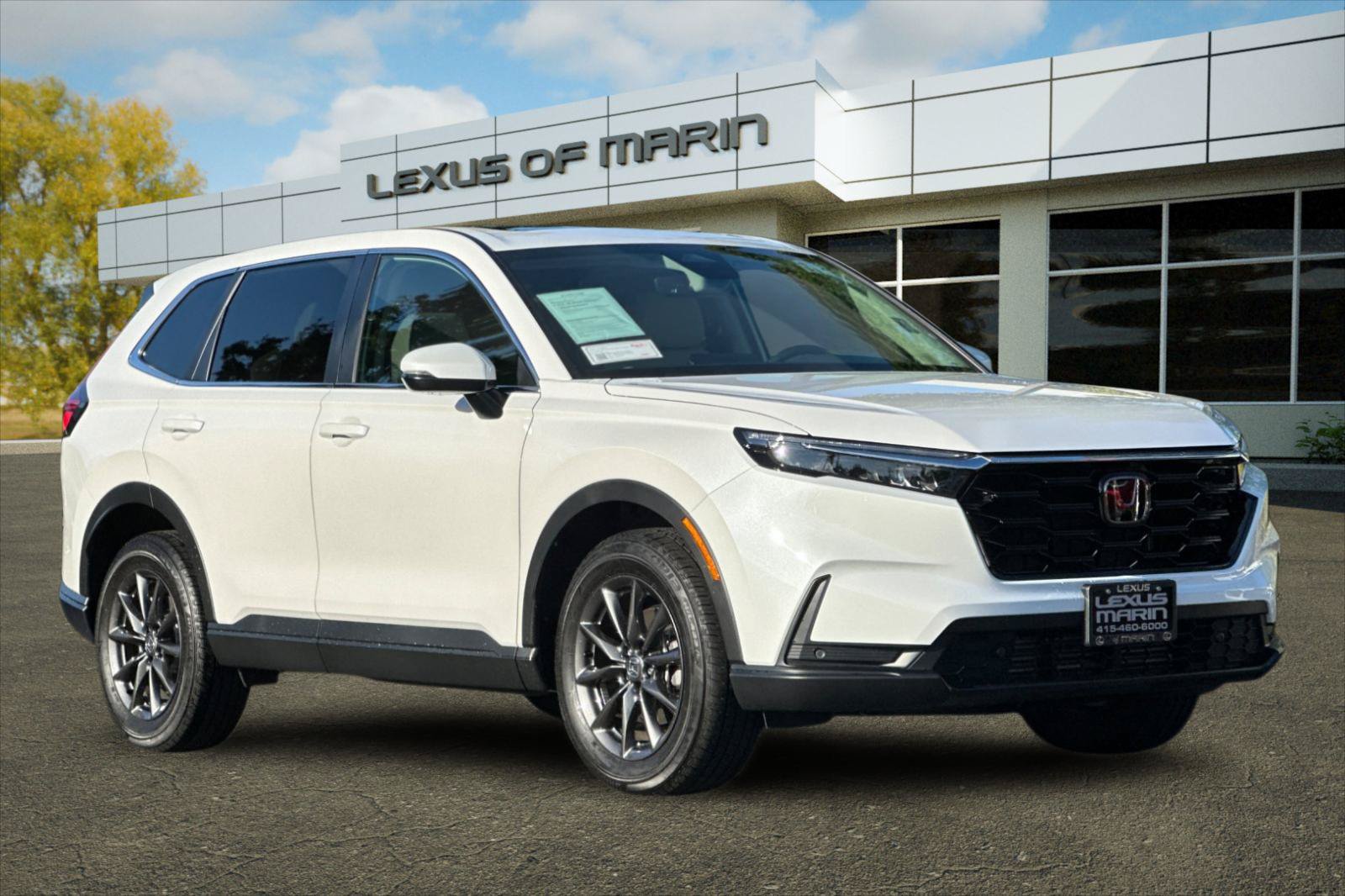 Used 2026 Honda CR-V EX-L image 6