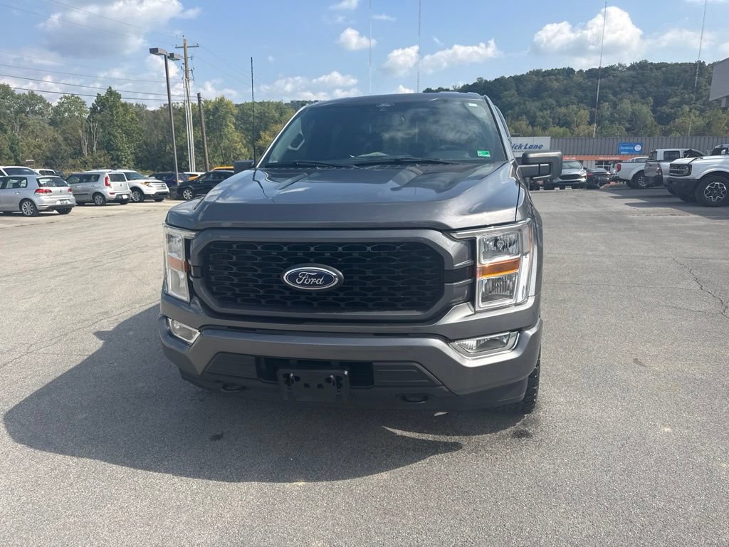 Used 2021 Ford F150 XL w/ STX Appearance Package AWD/4WD image 7
