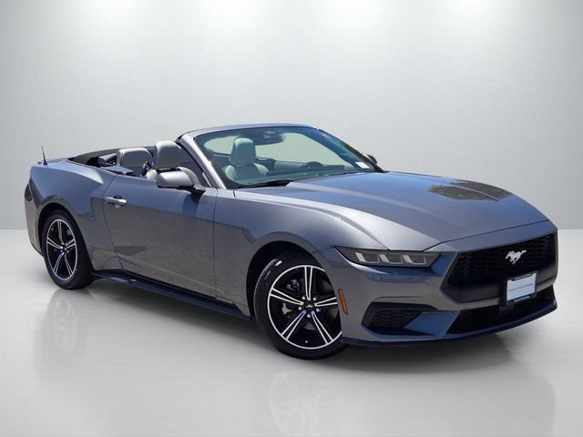 Used 2024 Ford Mustang Premium RWD image 1