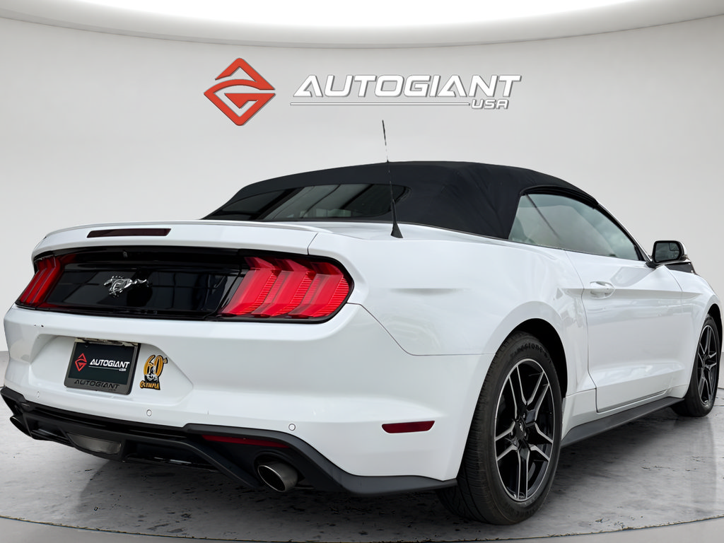 Used 2019 Ford Mustang Premium RWD image 11