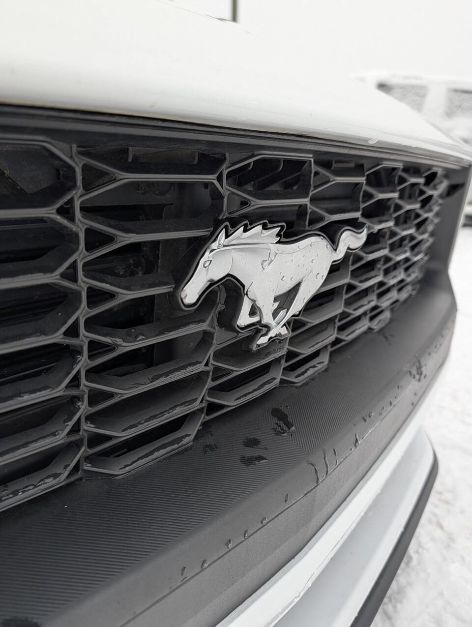 Used 2024 Ford Mustang Coupe image 3