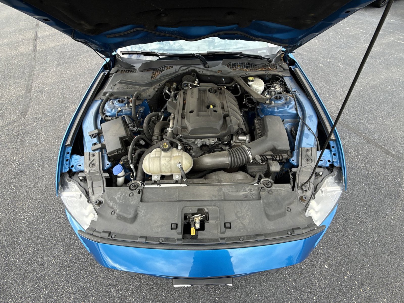 Used 2020 Ford Mustang Premium RWD image 25