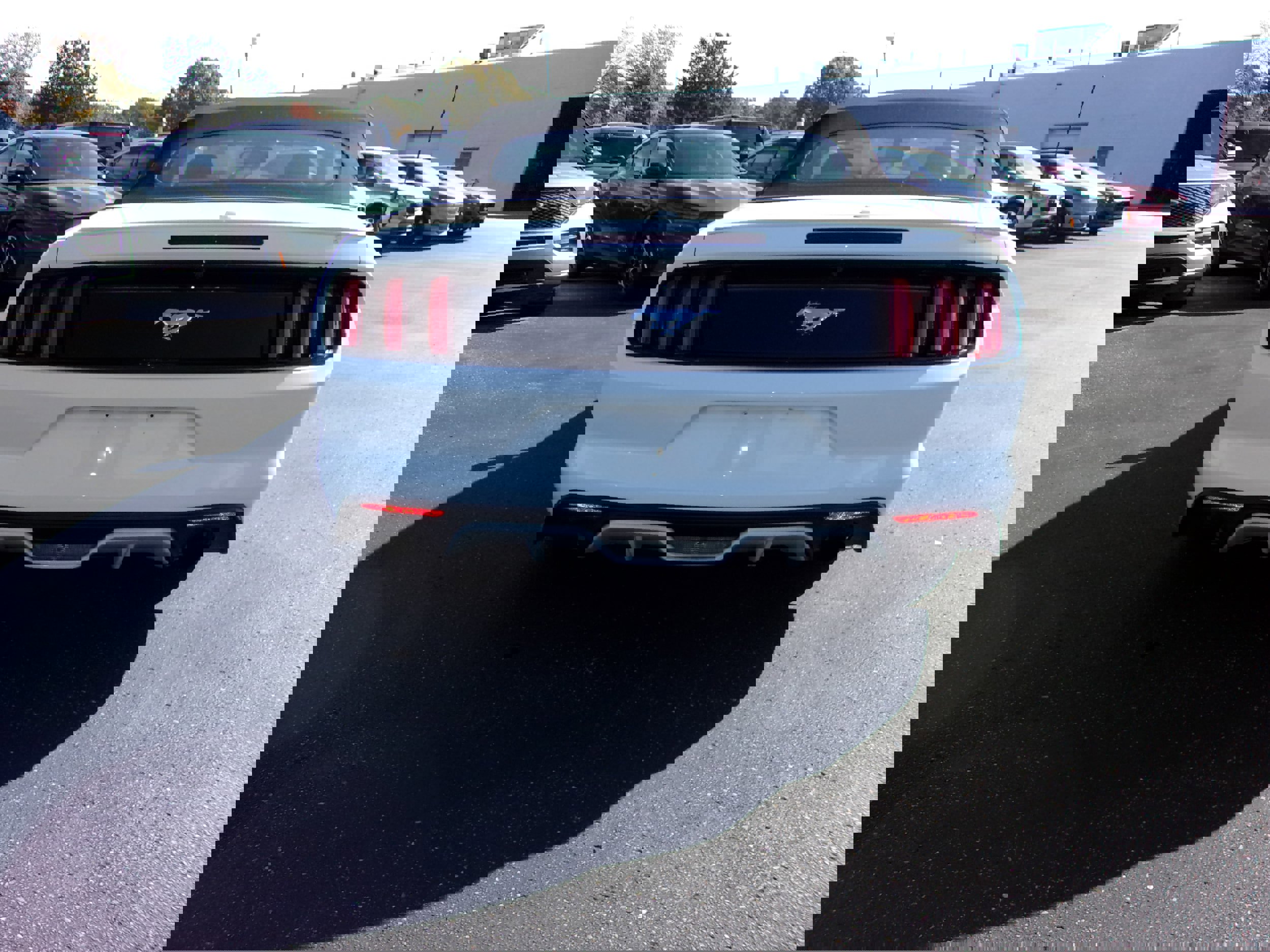 Used 2017 Ford Mustang Premium RWD image 3