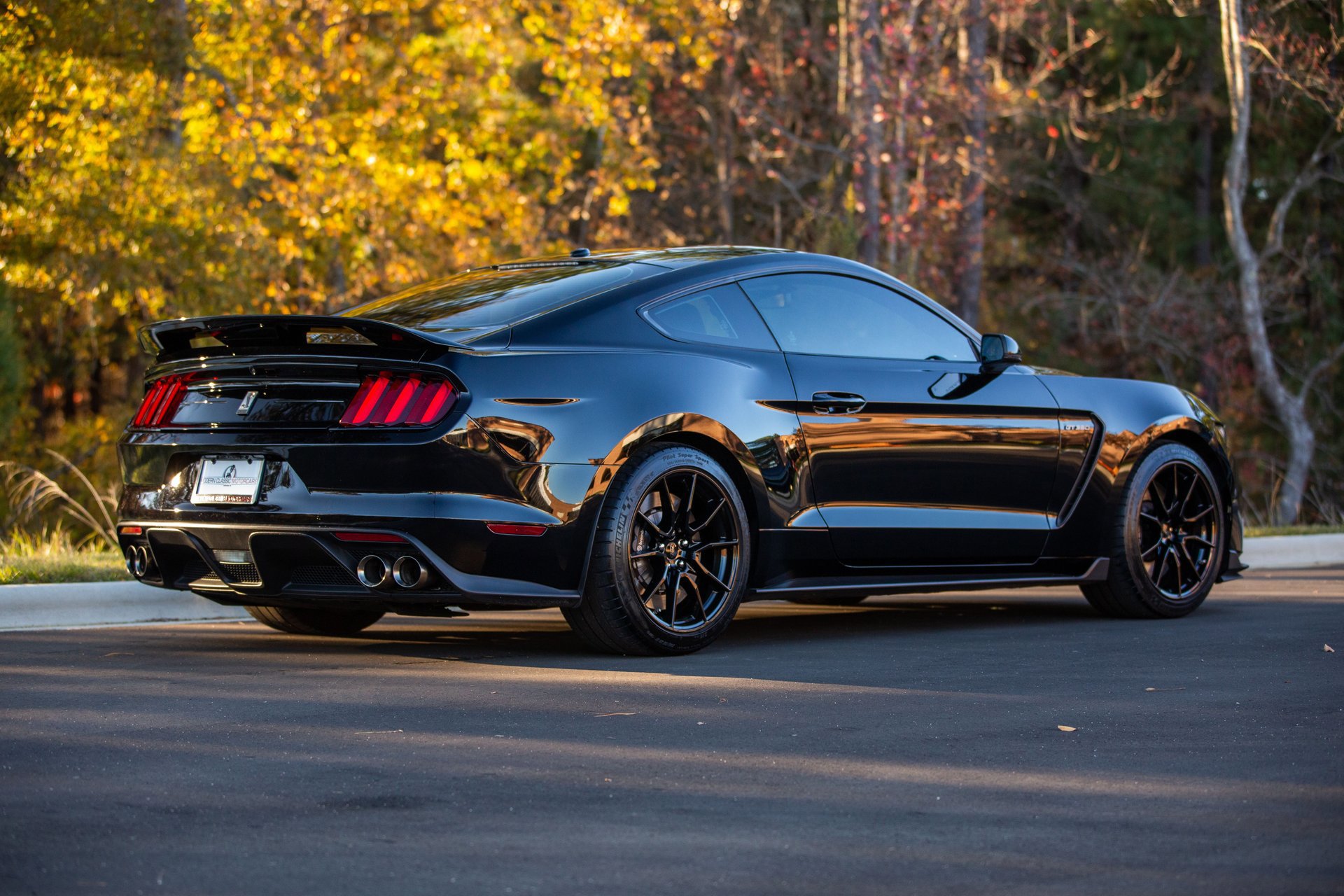 Used 2019 Ford Mustang Shelby GT350 w/ Technology Package image 14