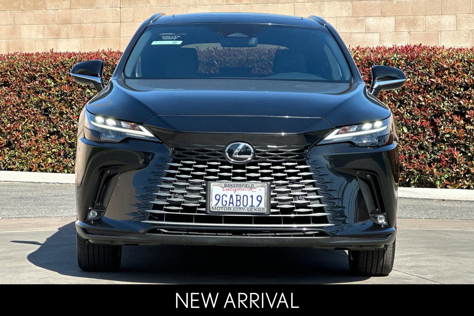 Certified 2023 Lexus RX 350 Premium Plus w/ Cold Area Package image 10