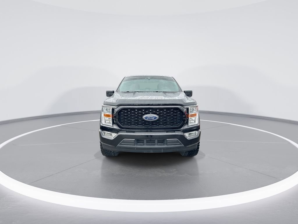 Used 2021 Ford F150 XL w/ STX Appearance Package RWD image 3