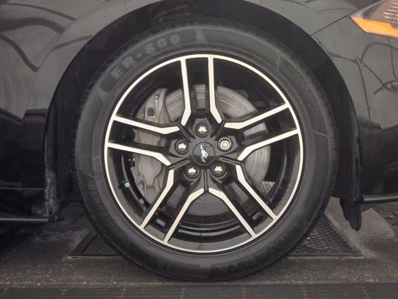 Used 2018 Ford Mustang GT Premium w/ Equipment Group 401A RWD image 13