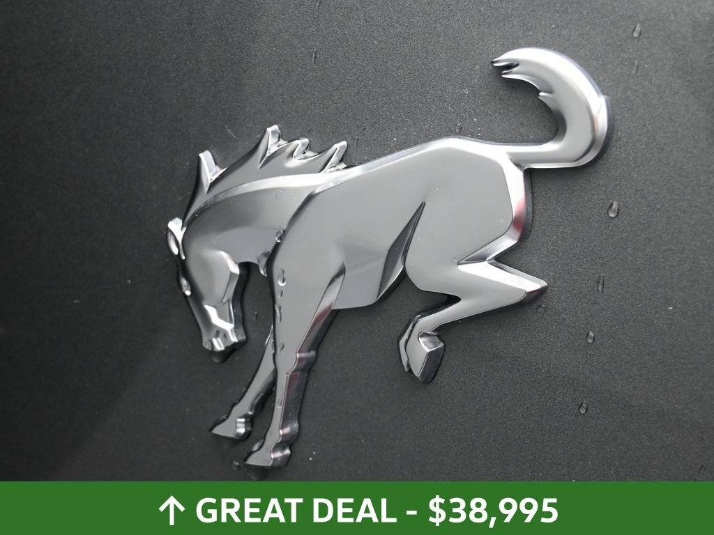 Used 2025 Ford Bronco Big Bend image 18