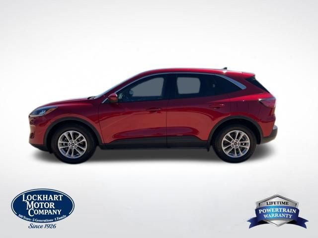 Used 2020 Ford Escape SE image 4