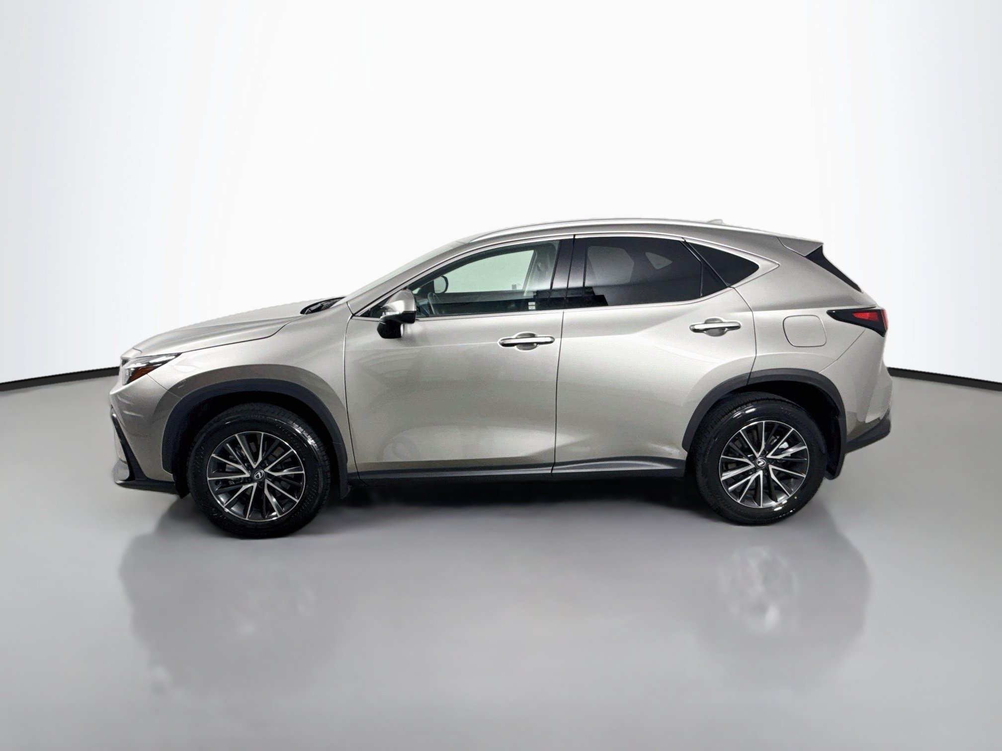 Certified 2024 Lexus NX 350h AWD w/ Cold Area Package image 4