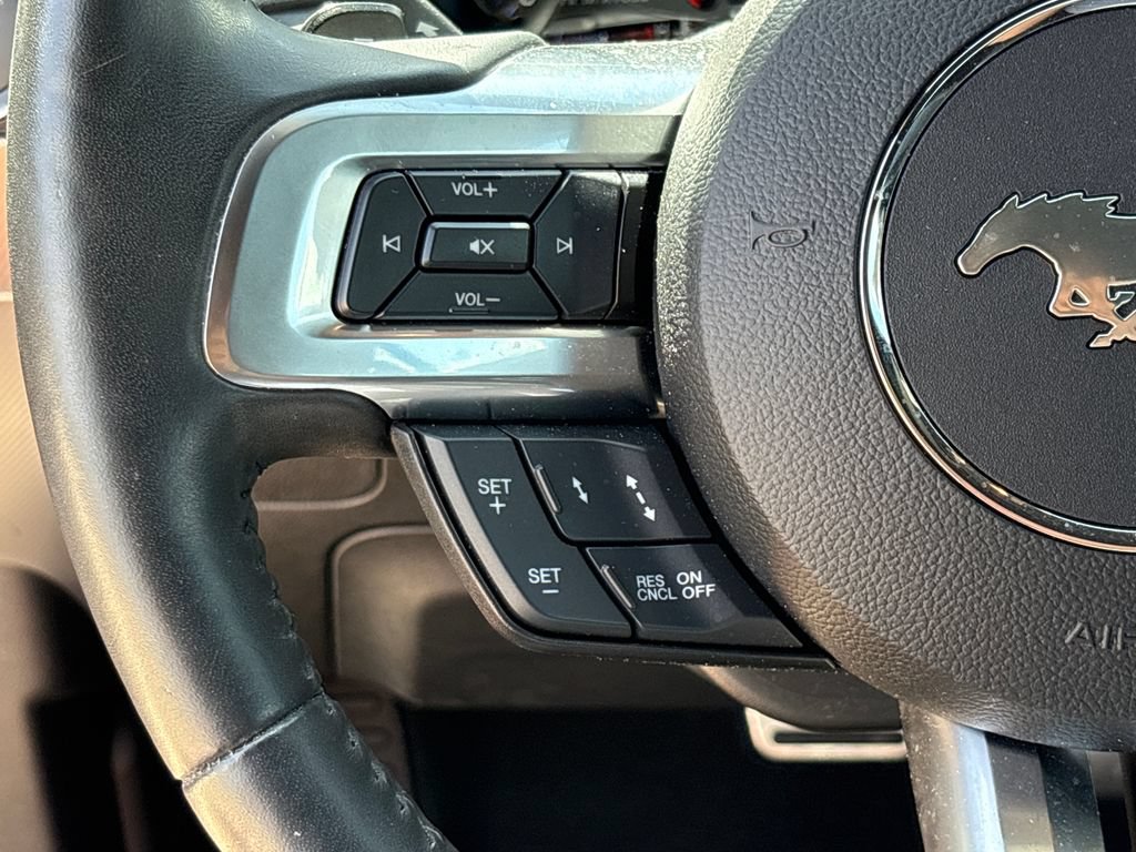 Used 2019 Ford Mustang Premium w/ Equipment Group 201A RWD image 18
