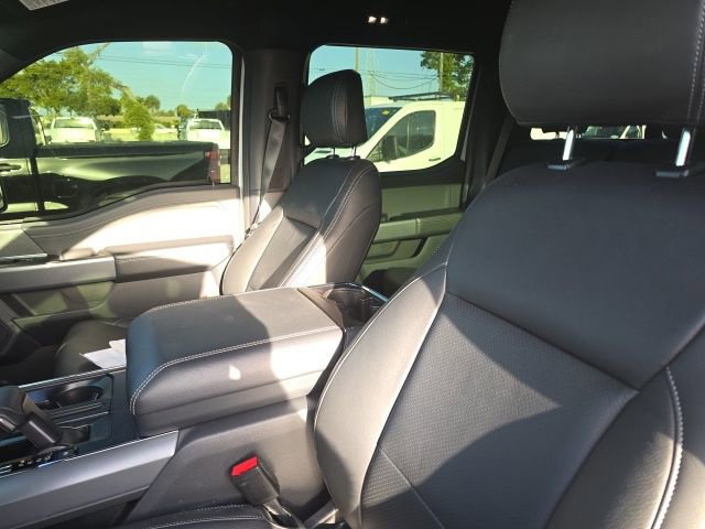 Used 2025 Ford F150 XLT w/ Equipment Group 302A MID image 8