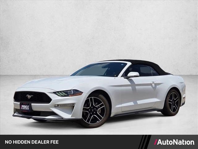 Used 2019 Ford Mustang Premium RWD image 1