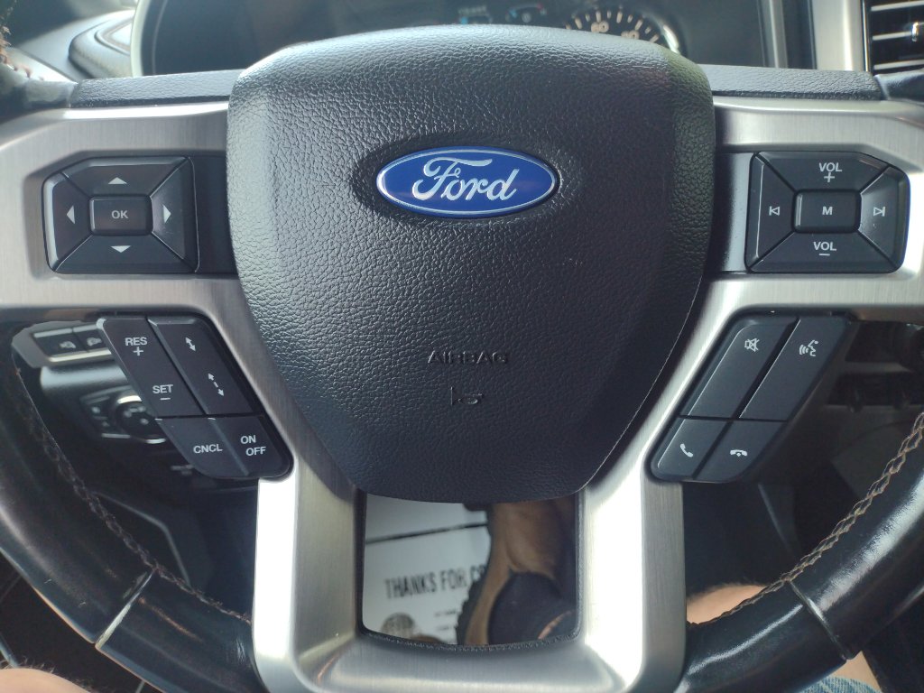 Used 2019 Ford F150 Platinum w/ Equipment Group 701A Luxury image 21