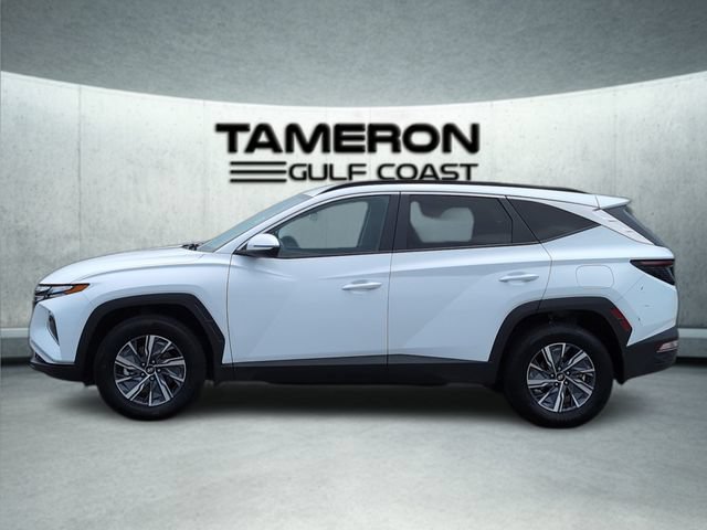 Used 2023 Hyundai Tucson Blue AWD/4WD image 2