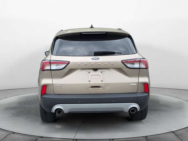 Used 2020 Ford Escape SEL FWD image 4