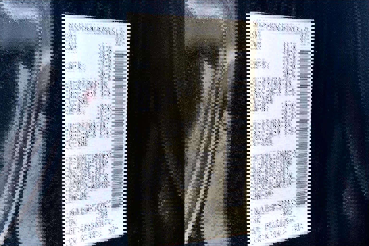 Used 2021 Nissan Titan PRO-4X w/ Pro-4x Convenience Package image 21