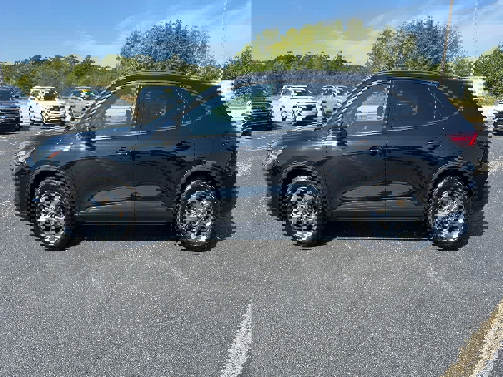 Used 2025 Ford Escape ST-Line Select image 6