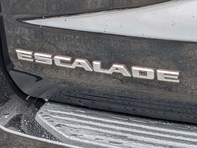 Used 2022 Cadillac Escalade Premium Luxury AWD/4WD image 12