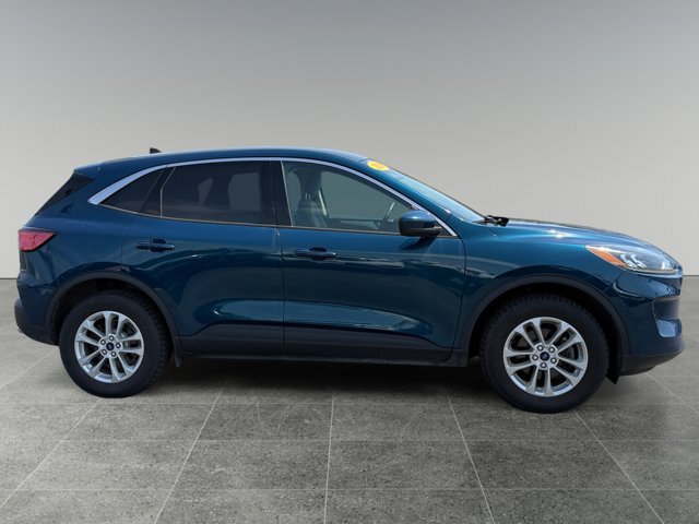 Used 2020 Ford Escape SE AWD/4WD image 6