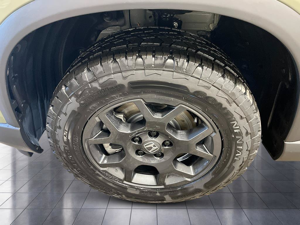 New 2026 Honda Pilot TrailSport image 11