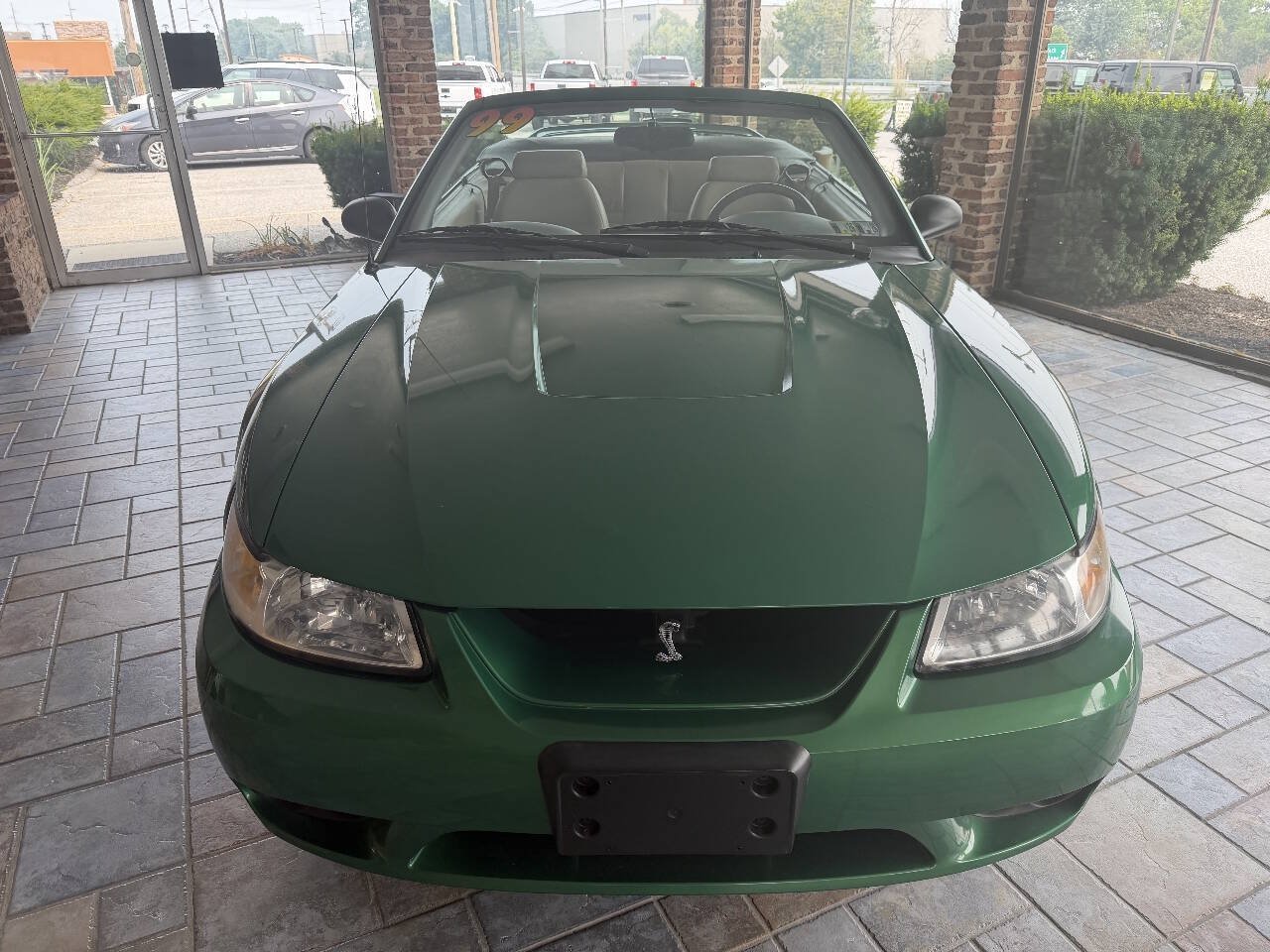 Used 1999 Ford Mustang Cobra RWD image 2