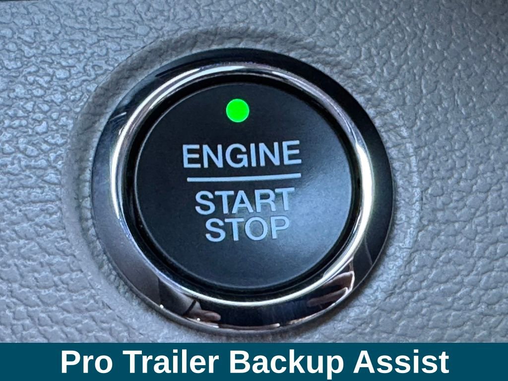 Used 2019 Ford F150 Limited image 13