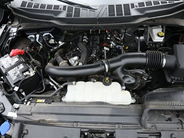 Used 2025 Ford F150 XLT w/ Equipment Group 301A Standard AWD/4WD image 22