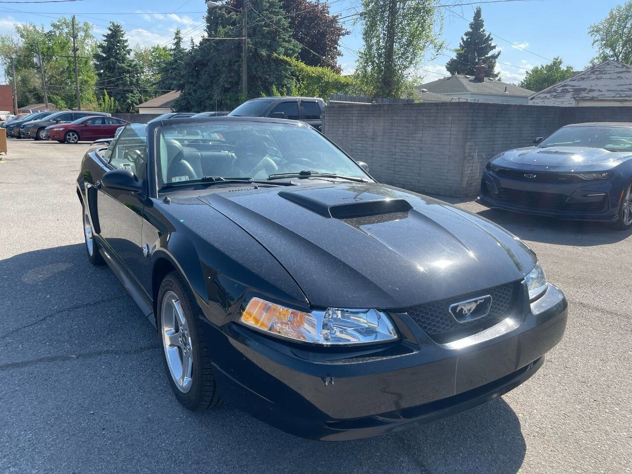 Used 2004 Ford Mustang GT image 8