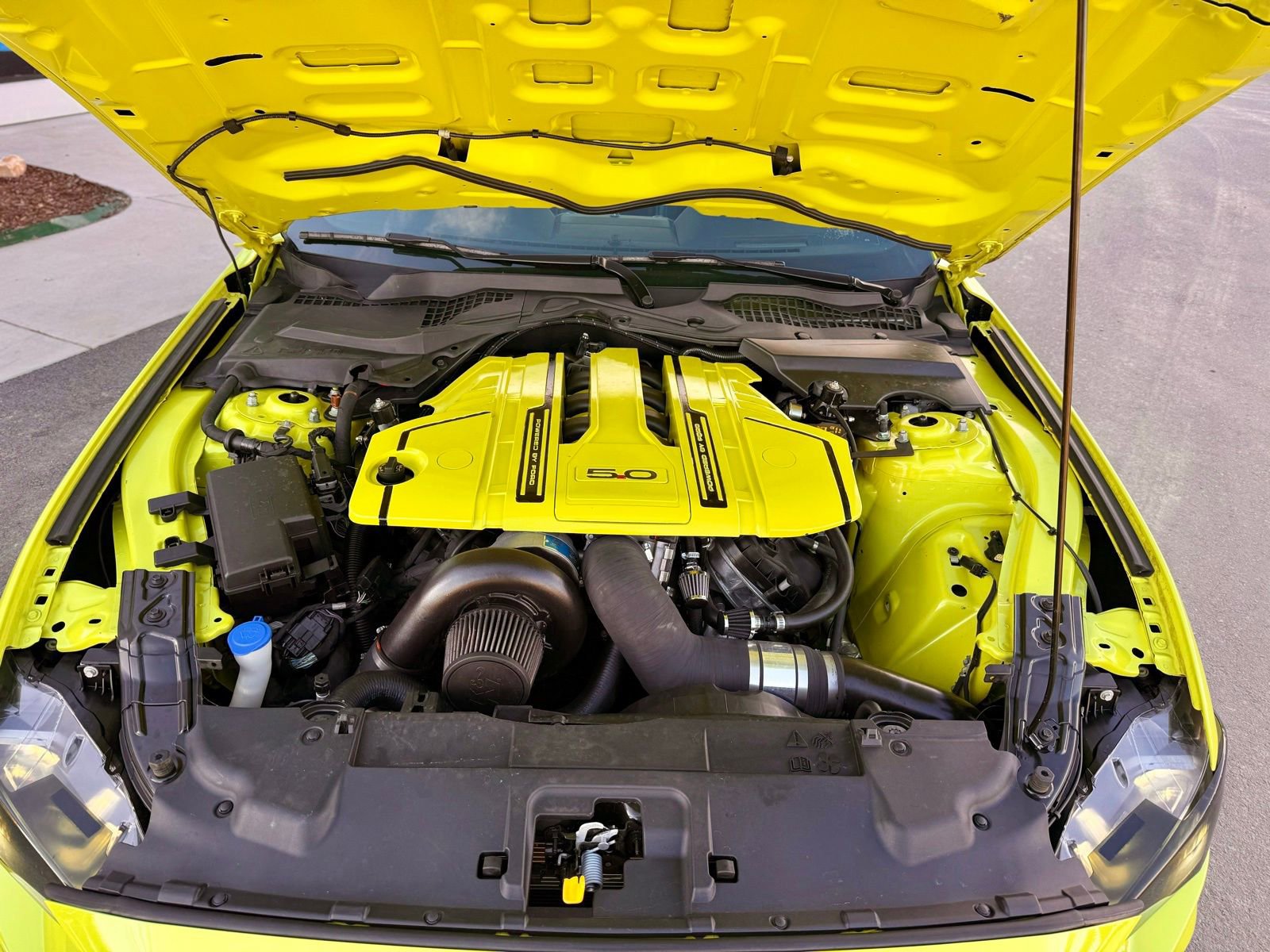 Used 2020 Ford Mustang GT Premium w/ Equipment Group 401A image 64