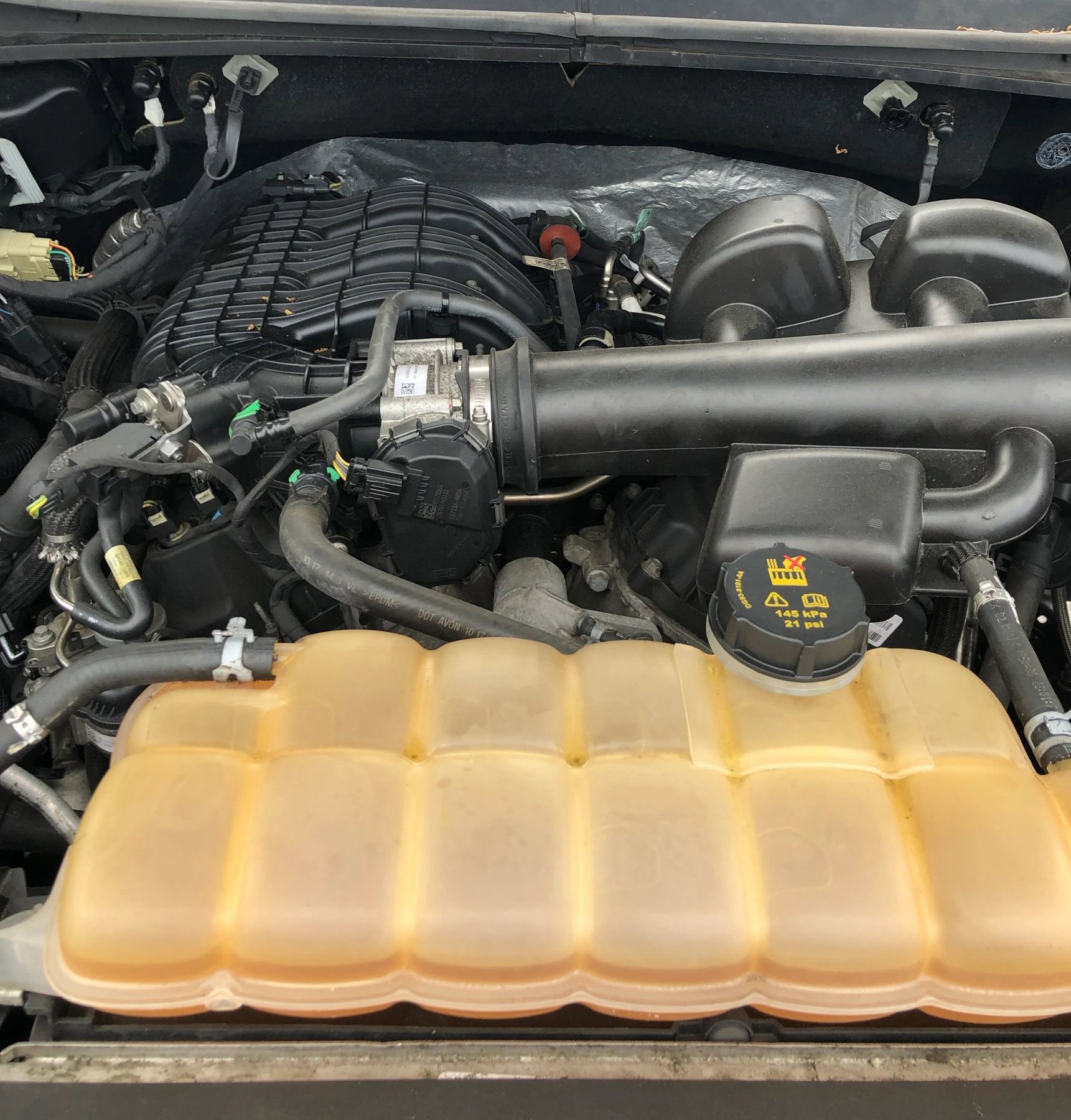 Used 2018 Ford F150 XLT w/ Equipment Group 302A Luxury image 9