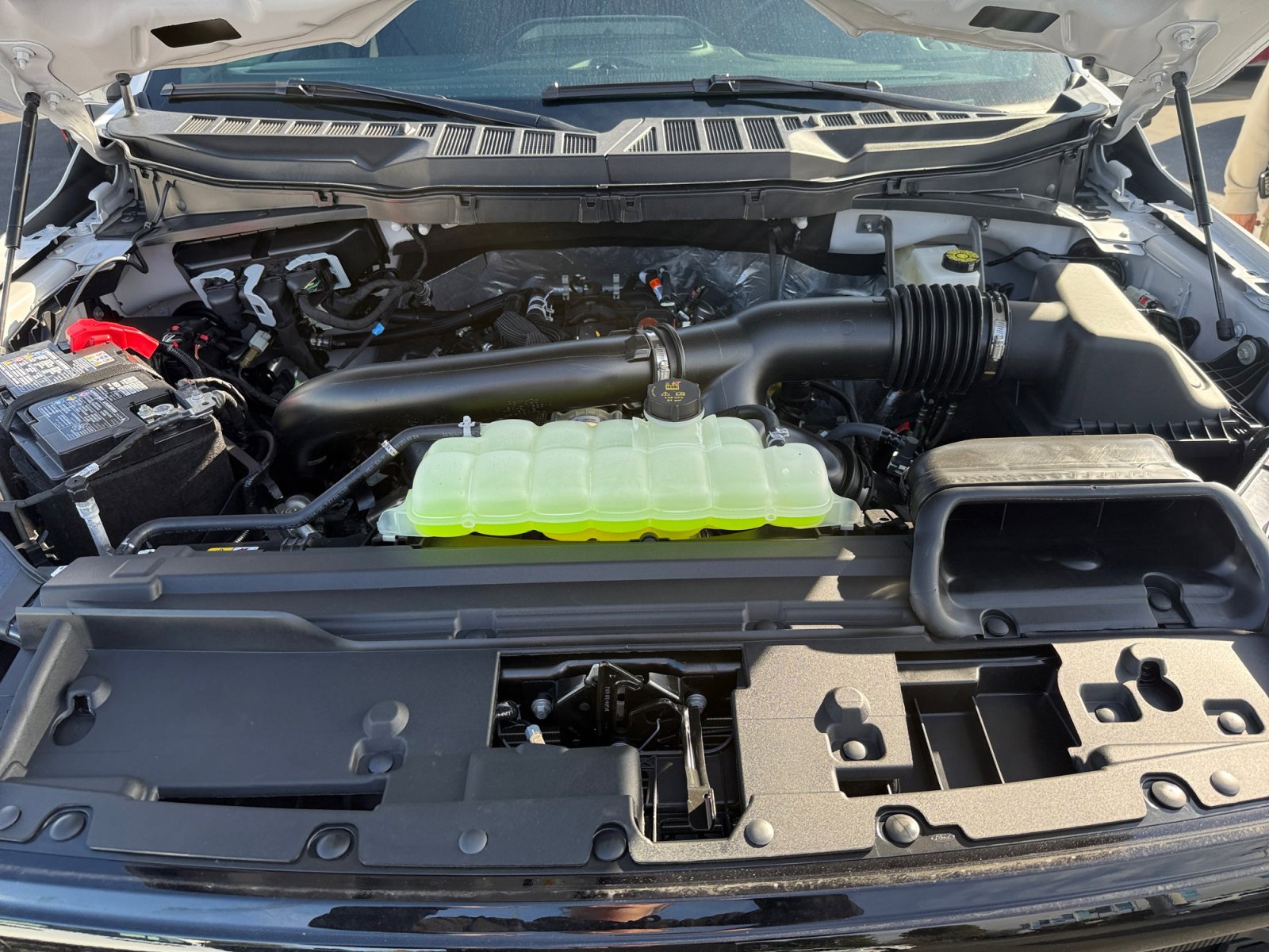 New 2025 Ford F150 XLT w/ Equipment Group 302A MID image 20