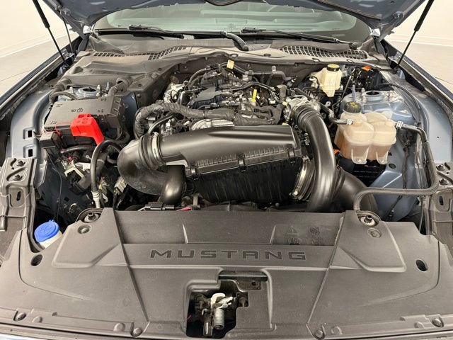 Used 2024 Ford Mustang Premium image 28