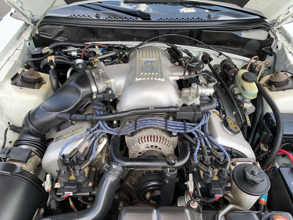 Used 1998 Ford Mustang Cobra RWD image 43