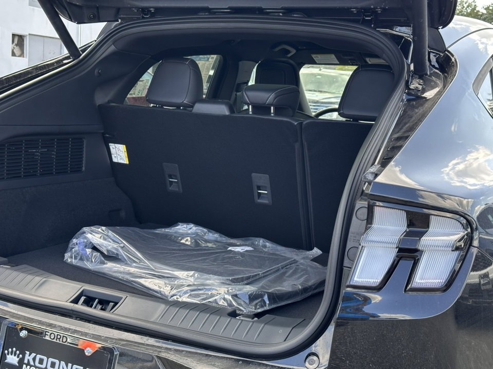 New 2025 Ford Mustang Mach-E GT image 10