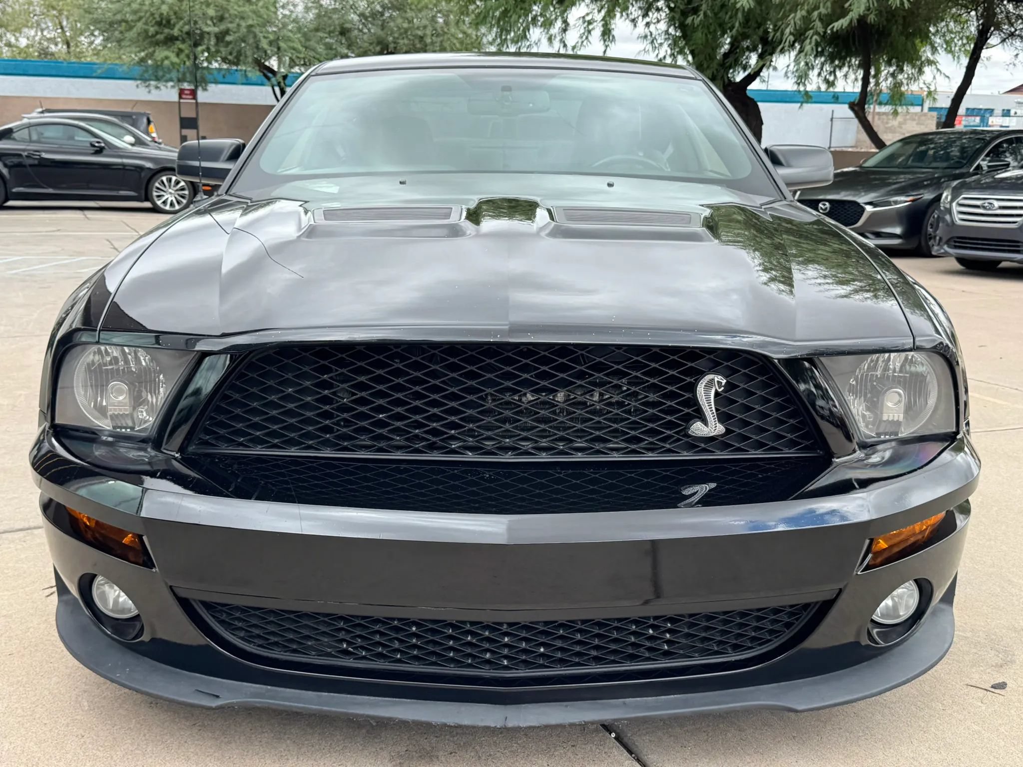 Used 2008 Ford Mustang Shelby GT500 RWD image 2