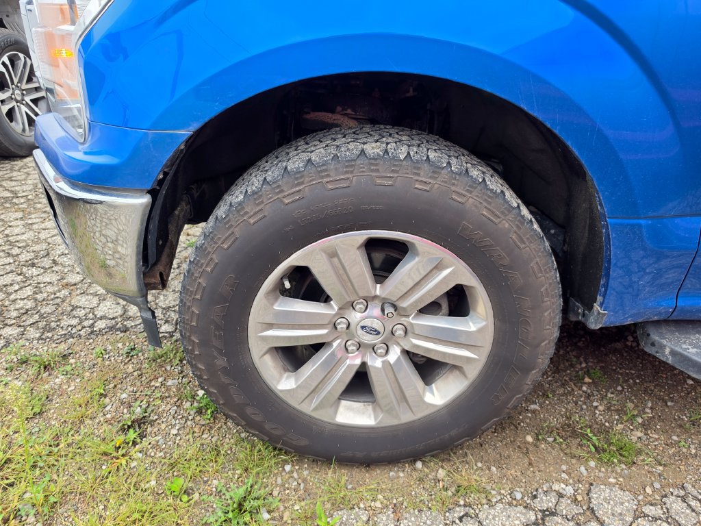 Used 2020 Ford F150 XLT w/ Equipment Group 302A Luxury AWD/4WD image 3