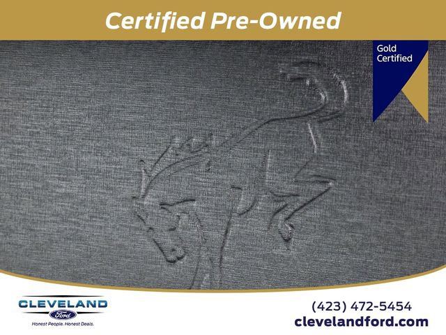 Certified 2023 Ford Bronco Big Bend image 13