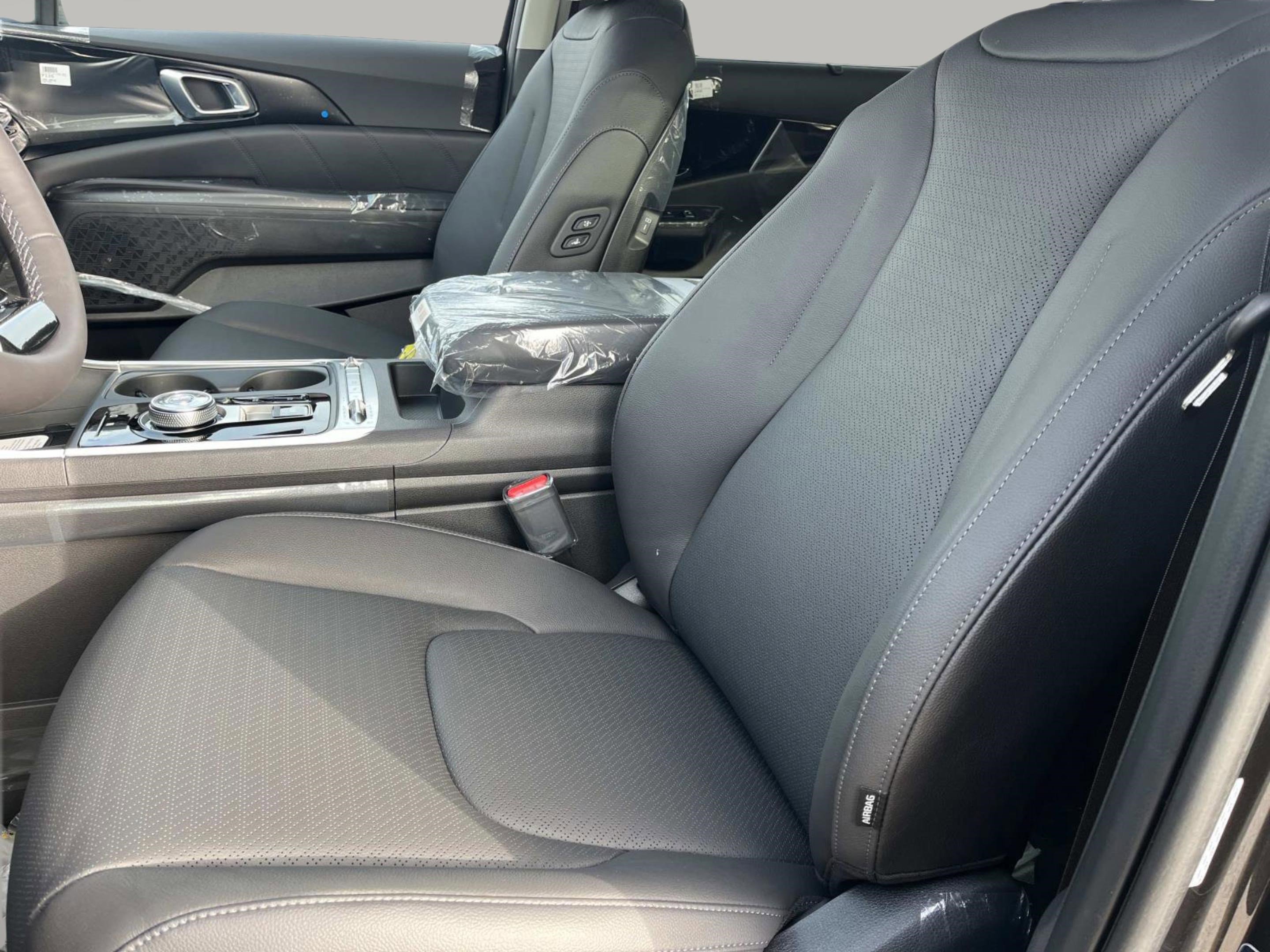 New 2026 Kia Carnival SX Prestige FWD image 20